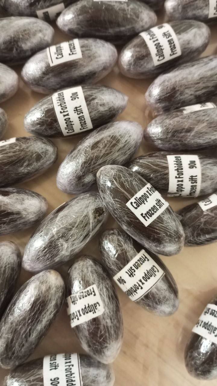 1-41-1.jpg | Premium Dry Sift Hash for Sale in Europe | BuyDrySiftHash.eu
